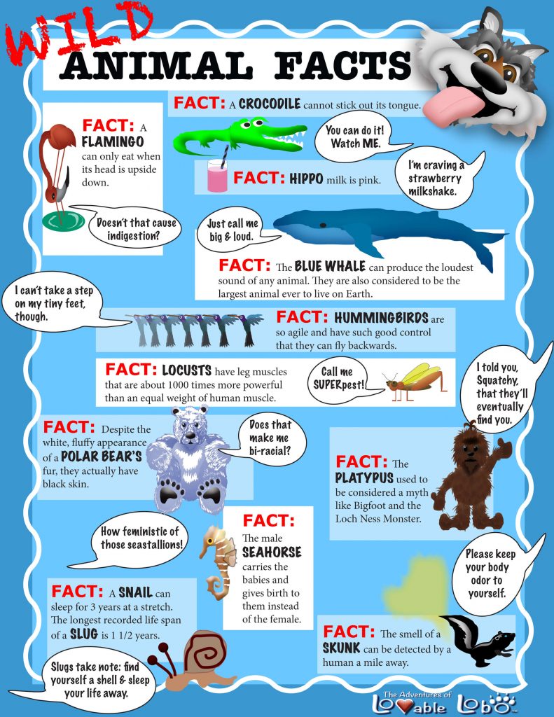 Lovable Lobo animal facts